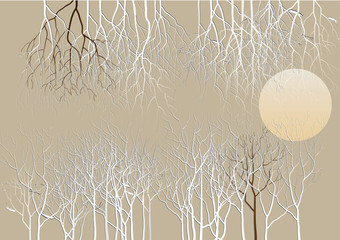 forest background,abstract tree  with the moon for background