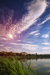 scenic lake in the summer park