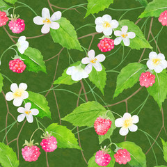 watercolor raspberry pattern