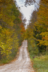 Obraz premium the view down a scenic country roadway in autumn landscape