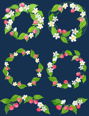 Watercolor raspberry clipart