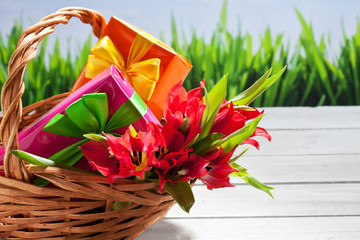 Rote Tulpen (Tulipa),, Strauss, Bastkorb, Geschenkpäckchen, Pä