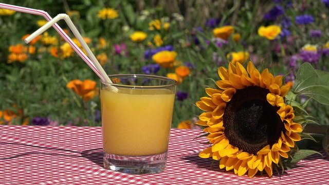 orange juice on table in the garden in front of summer flowers