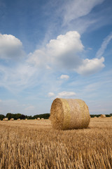 Deutschland, Nordrhein-Westfalen, abgeerntetes Feld, Stoppelfeld