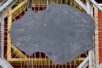 Crédence de cuisine en verre imprimé Arctique Cadre avec peau d& 39 animal sauvage