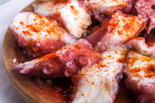 Pulpo