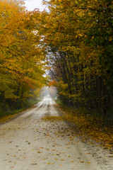 the view down a scenic country roadway in autumn landscape