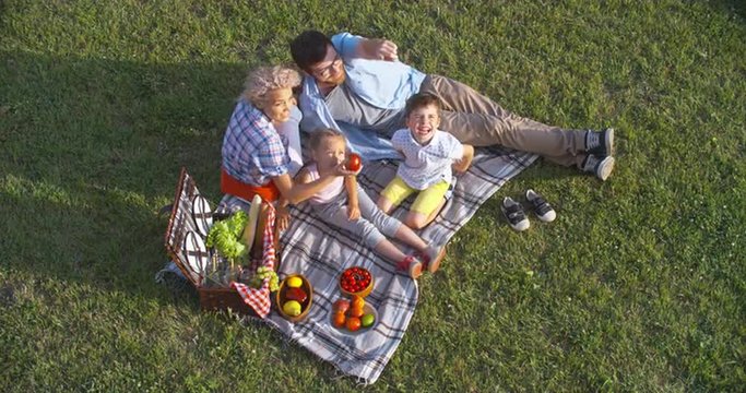 High angle view of affectionate young family having a fruit picnic on green lawn and embracing together