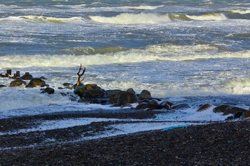 Coastline in Skagen, Denmark, protected by breakwater