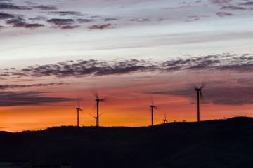 Landscape of dawn with windmills at horizon