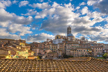 Old Town Mediterranean in sunny Tuscany, Siena