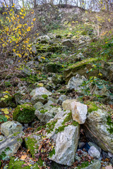 City park rockery at November