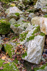City park rockery at November