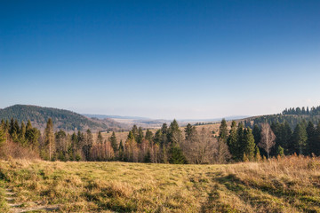 Bieszczady mountains, the valley of an upper San river - obrazy, fototapety, plakaty