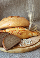 Fresh bread and different types of wheat ears..