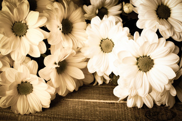 Oxeye daisy flowers bouquet on wooden background. Vintage photo style in sepia.