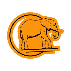 Elephant on white background