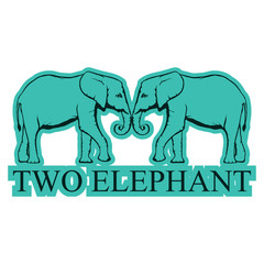 Elephant on white background