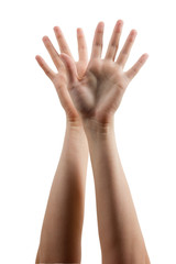 Fototapeta premium Many people's hands up isolated on white background. Various han