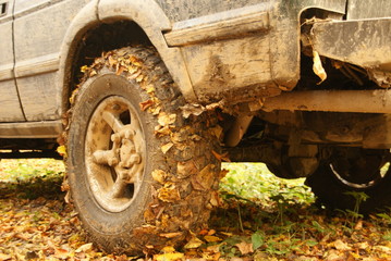 Roztocze jesienią © dominikakaminska
