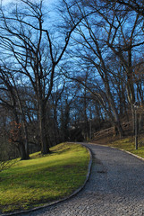 Road in autumn park