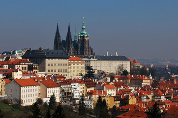 Obraz premium View on the Prague Castle and orange rooftops from the hill