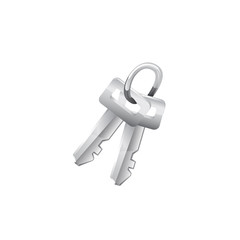 Keys. Vector icon