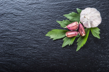 Garlic. Fresh Garlic. Cloves of garlic with parsley herb top leaves and pepper four colours.