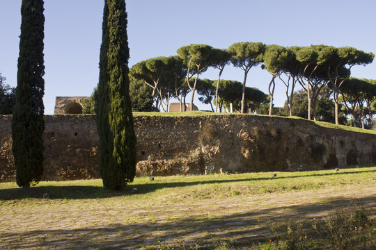 View of Palatine Hill from Via di San Gregorio in Rome, with Palatine walls and big cypress