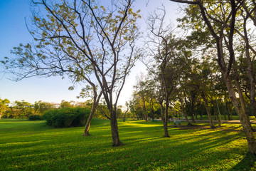Green garden citypark