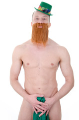 sexy Leprechaun  