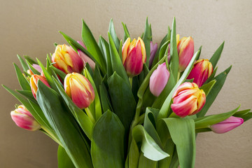Colorful tulips in glass vase. Gold background.