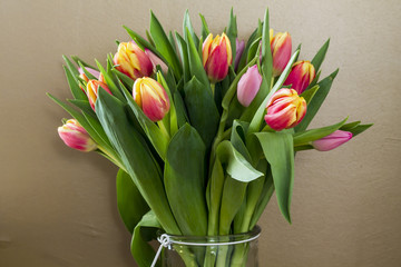 Colorful tulips in glass vase. Gold background.
