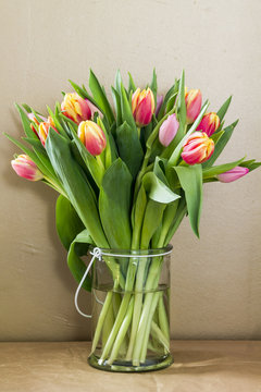Colorful tulips in glass vase. Gold background.