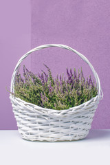 Fototapeta na wymiar Basket with flowers ,heather
