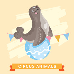 Circus Seals, vector animal series.