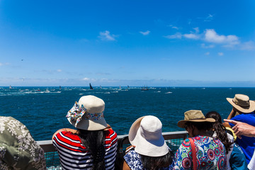 Crowds gather on the coast to watch the start of the Sydney to Hobart yacht race.