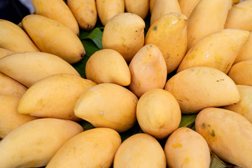 Close up mango for background