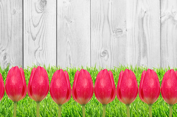 Beautiful bright tulips on wooden background