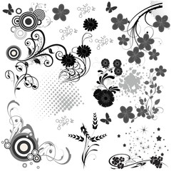 plantes multi floral
