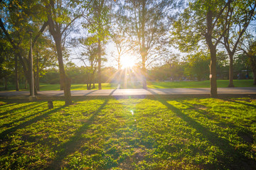 Garden background with blue sky.