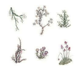 Beautiful fairytale set of colorful watercolor flowers. SET 4