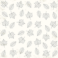 background of maple leaves and oak leaves