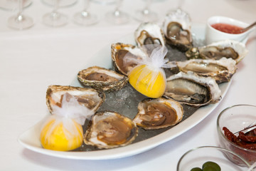 oyster in plate