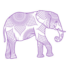 Elephant on white background