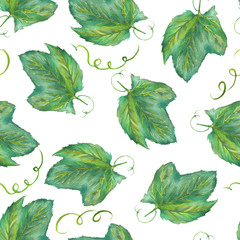 Fototapeta premium A seamless pattern with the hand-drawn grape leaves. Painted in a watercolor on a white background.