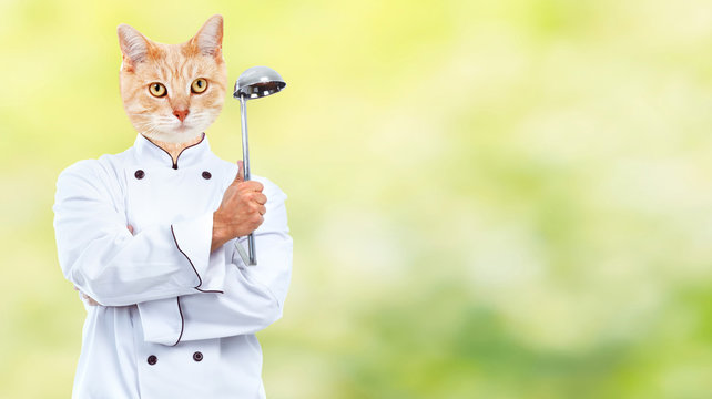 Cat chef.