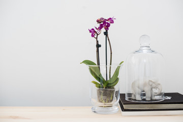 home interior decor, vintage style