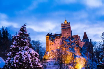 Papier Peint photo autocollant Château Bran castle in winter season