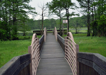 Rookery Bridge/Wooden bridge leading out into the marshland